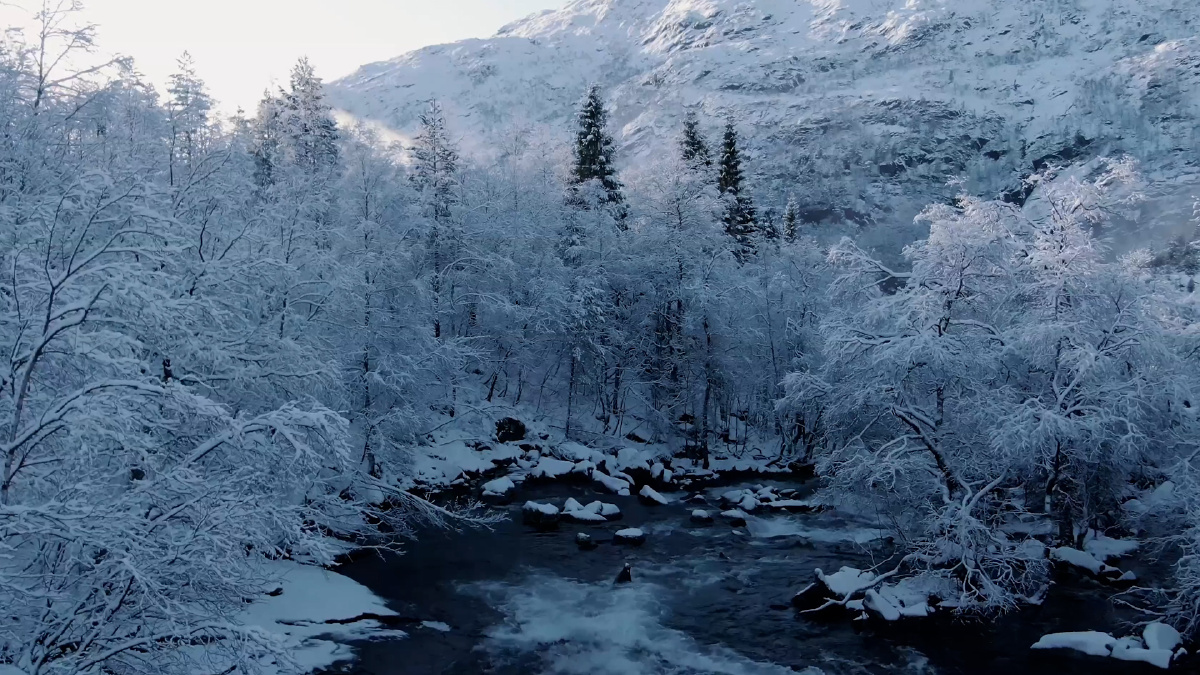 Paisaje invernal con dron, parte 4