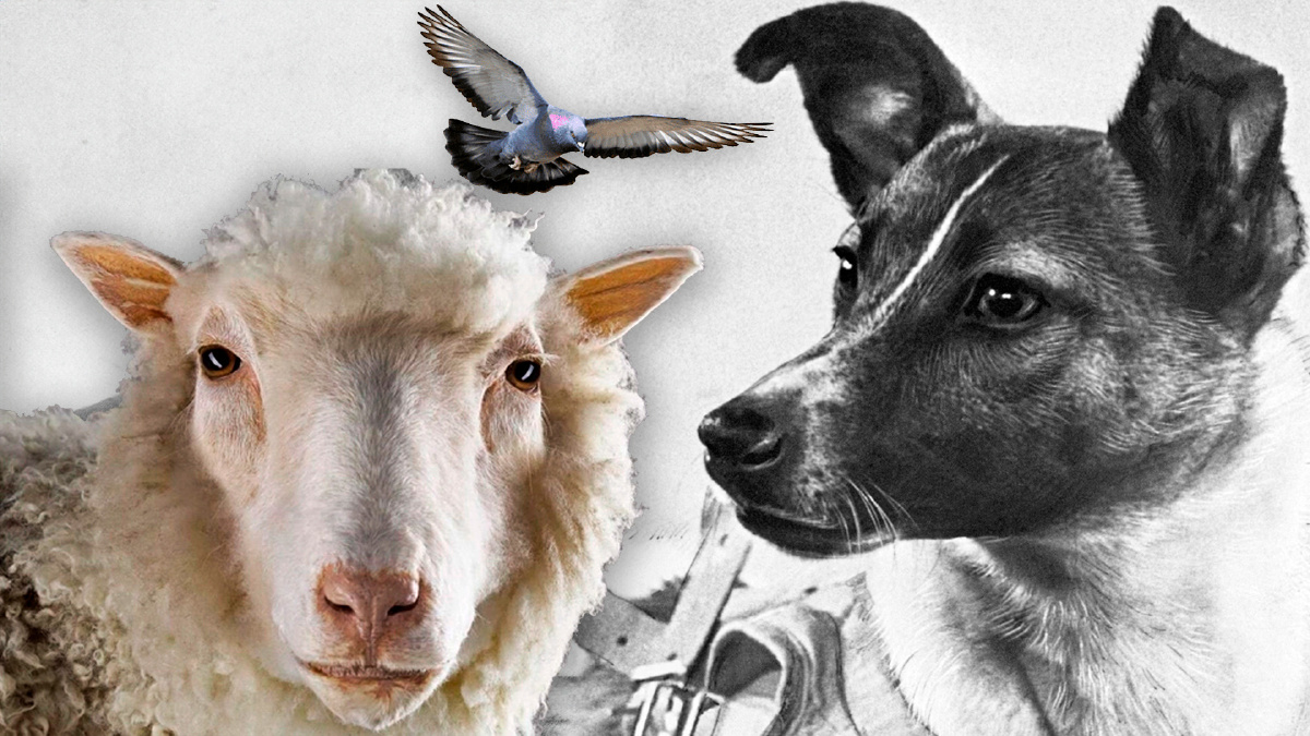 Animales que Cambiaron el Curso de la Historia 🐾🌍