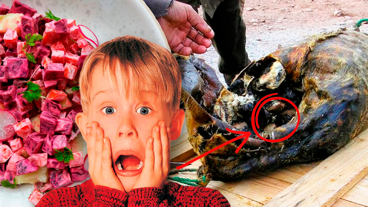 Los Platos Navideños Más Curiosos del Mundo que Te Sorprenderán 🎄🌍