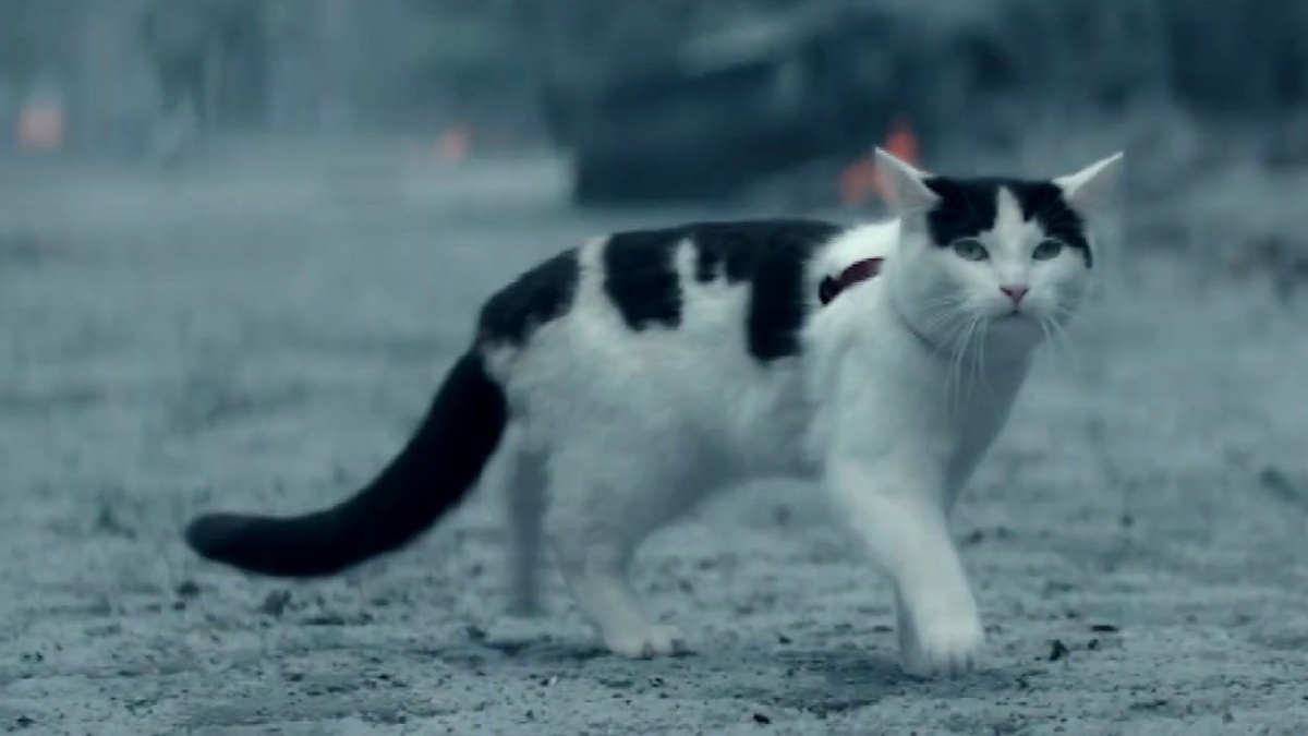 A Quiet Place: Day One: El Gato Sobrevive? (Spanish/Mexico Spot Subtitled)