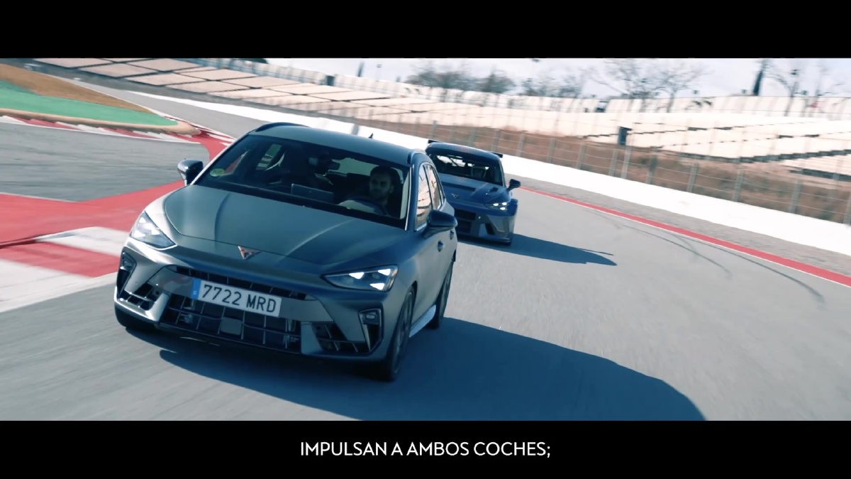 Curpa - Dos leones compartiendo el mismo AND