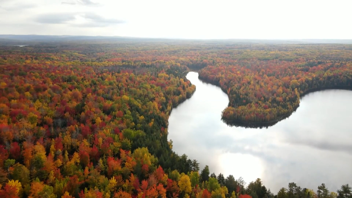 Colores otoñales capturados en Canadá por un dron, Parte 1